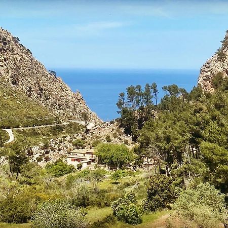 Finca Ses Fontanelles Andratx Exteriör bild