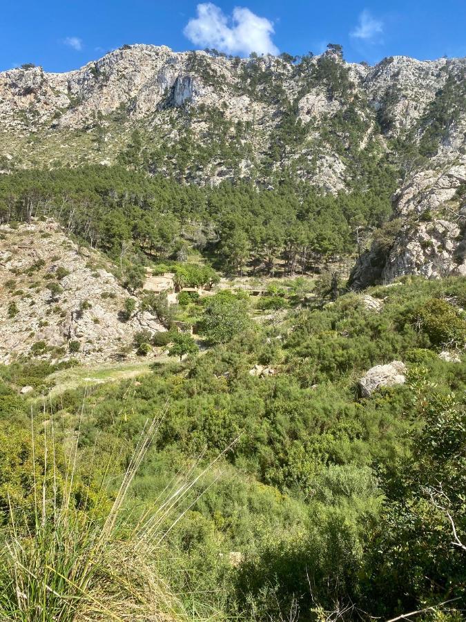 Finca Ses Fontanelles Andratx Exteriör bild