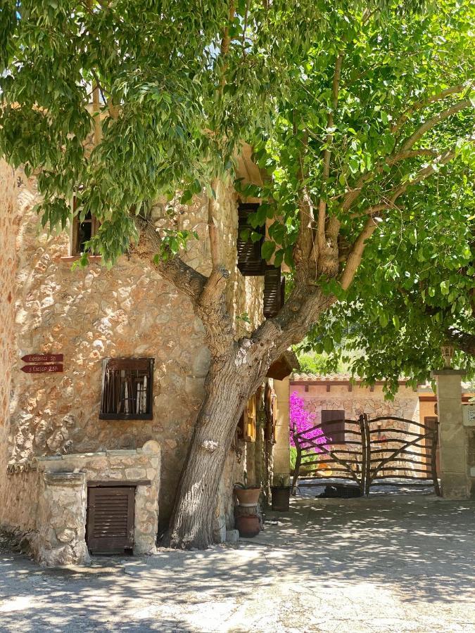Finca Ses Fontanelles Andratx Exteriör bild