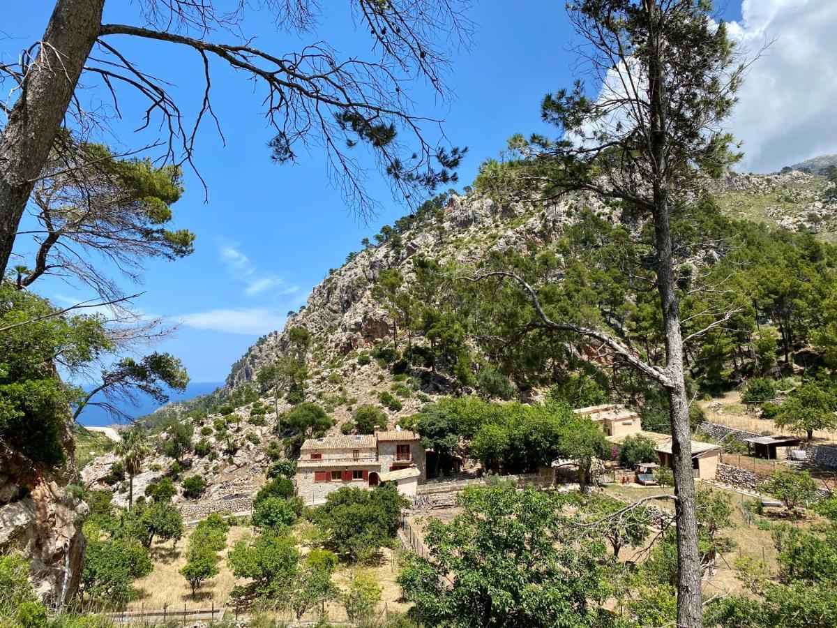 Finca Ses Fontanelles Andratx Exteriör bild