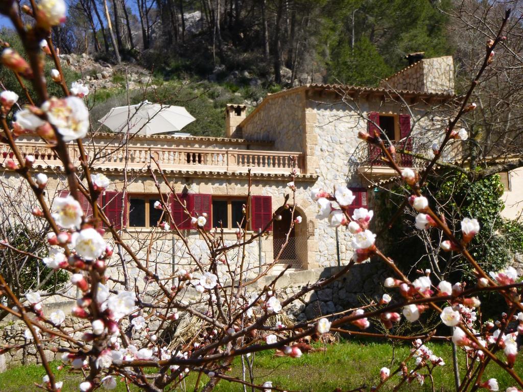 Finca Ses Fontanelles Andratx Exteriör bild