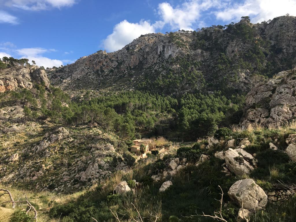 Finca Ses Fontanelles Andratx Exteriör bild