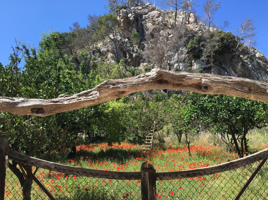 Finca Ses Fontanelles Andratx Exteriör bild