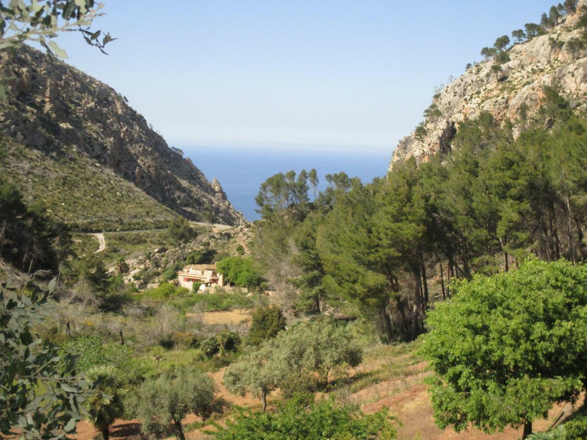 Finca Ses Fontanelles Andratx Exteriör bild